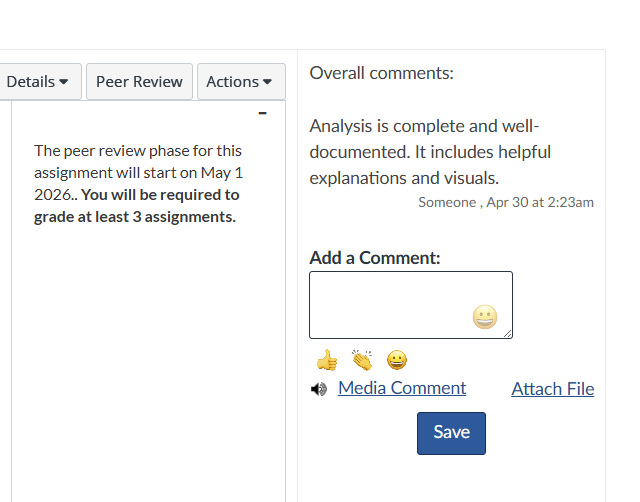 Example peer review