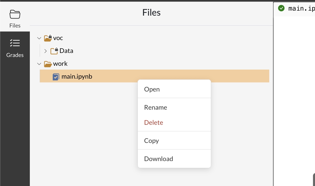 Files > right-click download file interface